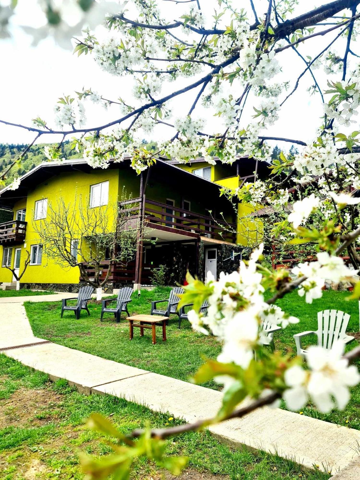 Vila Giulia Voineasa Exterior photo